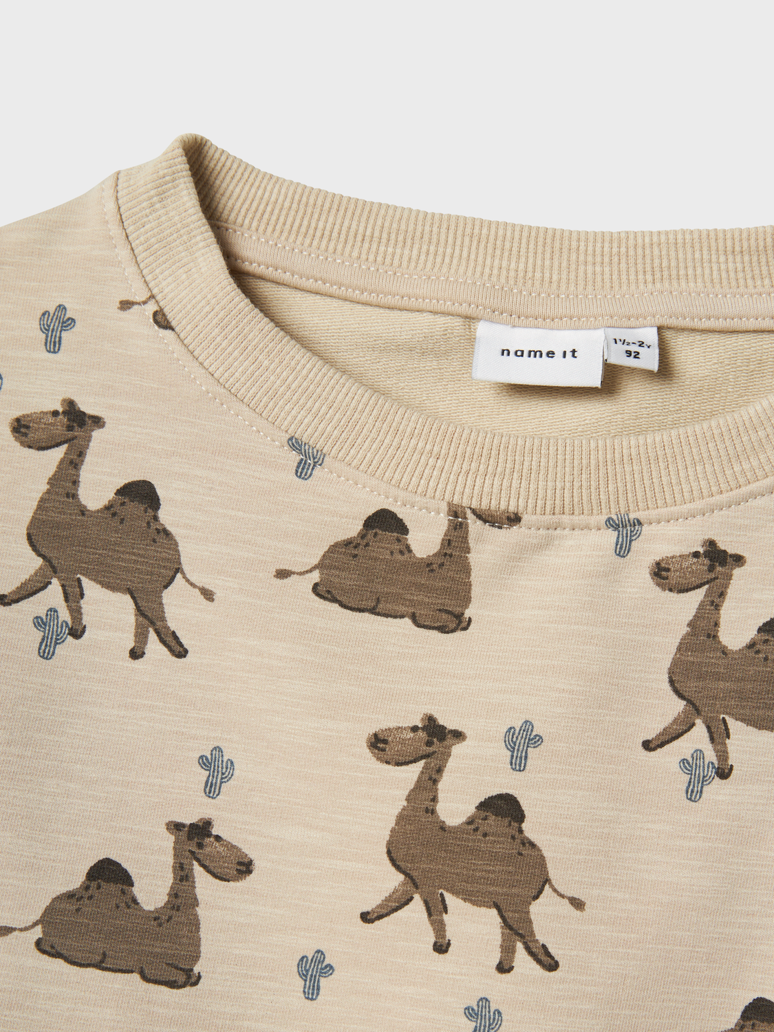 model_shot-front_full